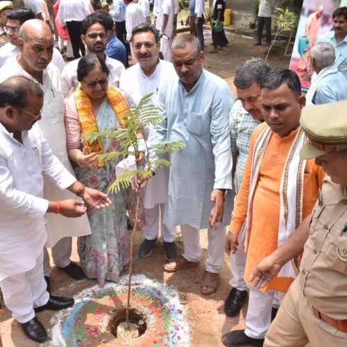 WhatsApp Image 2024-07-20 at 2.35.38 PM (3)